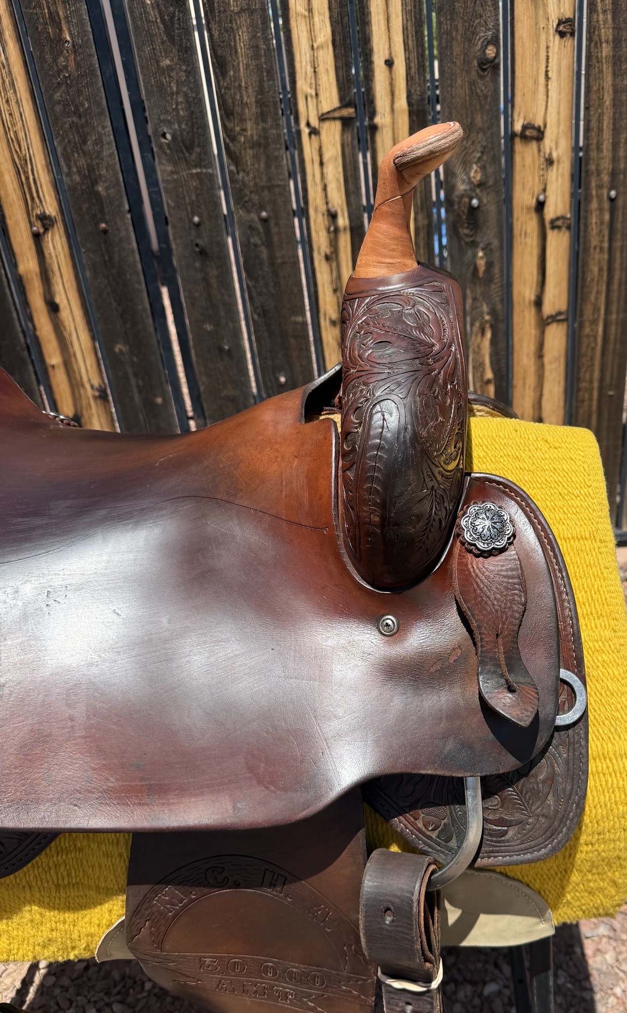 teddy johnson cutter 16 horn right
